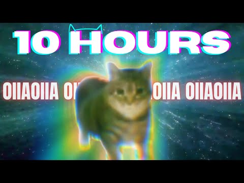 Thumbnail for YouTube: OIIA OIIA CAT 10 HOURS